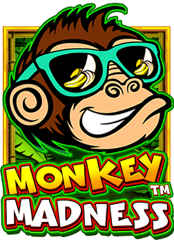 รีวิวสล็อต หมุน ฟรี 2020 สำหรับผู้เล่นมือใหม่ เฮ้ยของดีนะ!